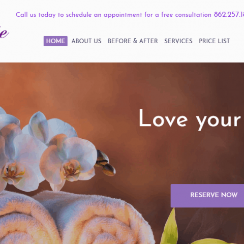 thesilhouettehouse website