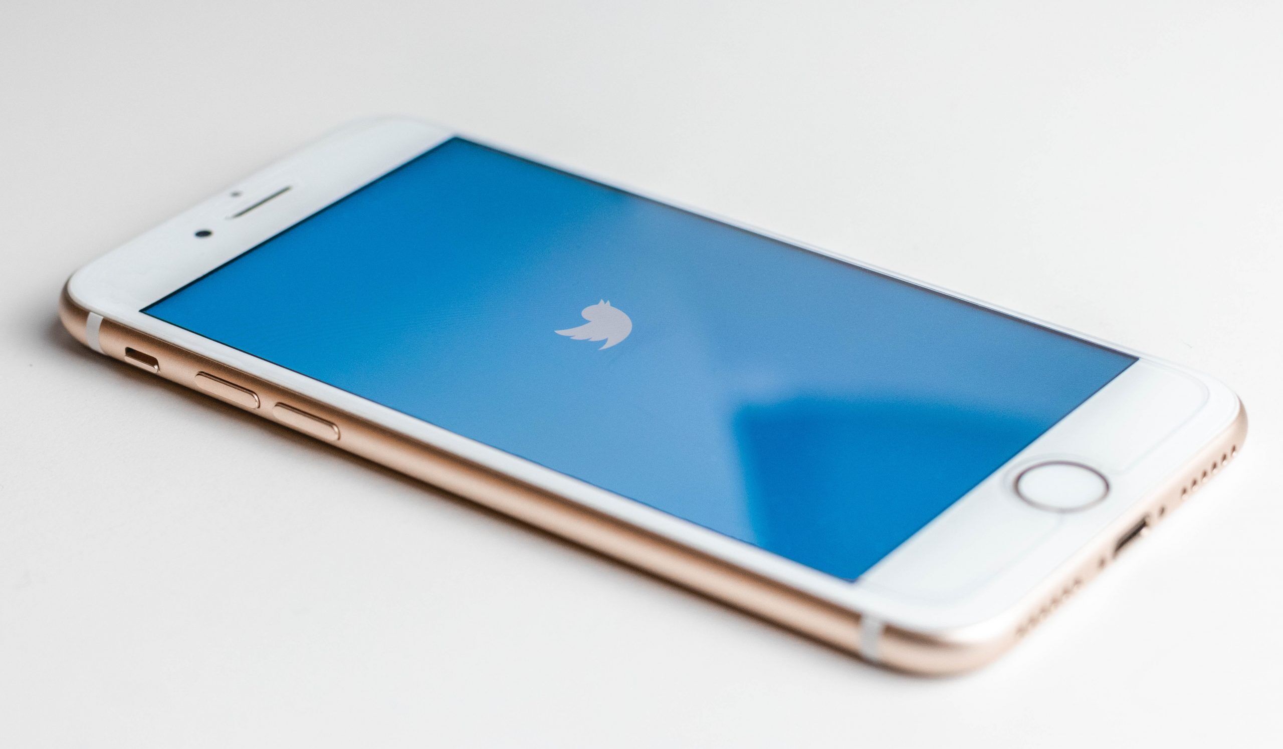 Twitter Logo on iPhone